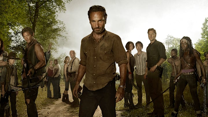 Carl Grimes (Chandler Riggs); Daryl Dixon (Norman Reedus); Carol (Melissa Suzanne McBride); T-Dog (Robert 'IronE' Singleton); Beth Greene (Emily Kinney); Hershel Greene (Scott Wilson); Rick Grimes (Andrew Lincoln); Maggie Greene (Lauren Cohan); Glenn (Steven Yeun); The Governor (David Morrissey); Michonne (Danai Gurira) in The Walking Dead - Season 3, Gallery 