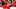 Detroit Red Wings center Dylan Larkin Detroit Red Wings center Dylan Larkin