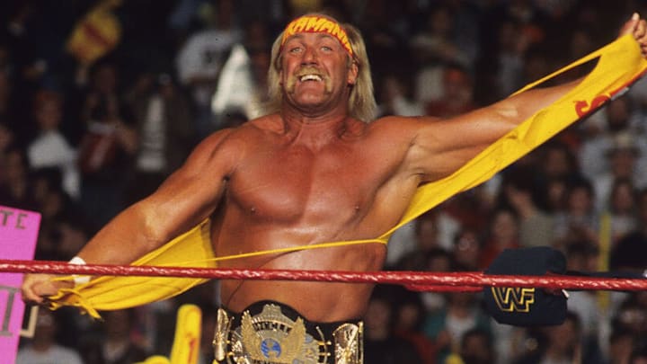 Hulk Hogan