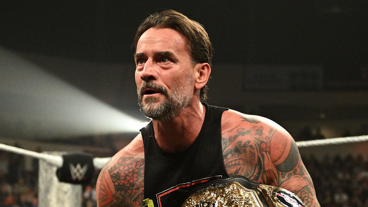 CM Punk Takes Shot at Roman Reigns When Answering Retirement Question