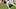Tre'Davious White