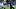 Baltimore Ravens quarterback Lamar Jackson runs with the ball past Dallas Cowboys linebacker Dee Winters. Baltimore Ravens quarterback Lamar Jackson runs with the ball past Dallas Cowboys linebacker Dee Winters.