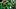 oregon ducks offensive lineman center iapani laloulu poncho coach dan lanning quarterback dante moore dillon gabriel bo nix oregon ducks offensive lineman center iapani laloulu poncho coach dan lanning quarterback dante moore dillon gabriel bo nix
