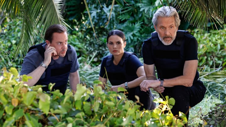 NCIS season 23 UK release date NCIS season 23 UK release date