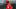 Washington Nationals prospect Jarlin Susana Washington Nationals prospect Jarlin Susana