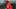 Washington Nationals prospect Jarlin Susana Washington Nationals prospect Jarlin Susana