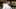 oregon ducks defensive line recruiting tony tuioti dan lanning aniti paiva marcus fakatou alifeleti tuihalamaka autzen