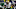 Minnesota Vikings Minnesota Vikings
