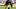 Pittsburgh Steelers linebacker Nick Herbig Pittsburgh Steelers linebacker Nick Herbig