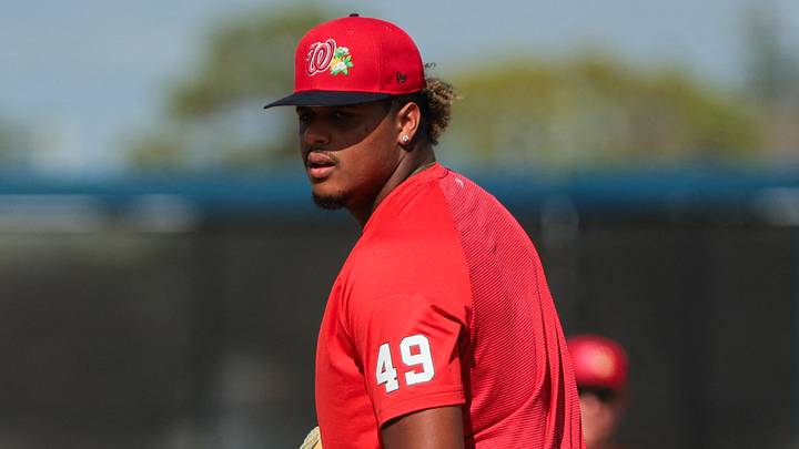 Washington Nationals prospect Jarlin Susana
