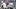 Dec 15, 2024; Houston, Texas, USA; Houston Texans quarterback C.J. Stroud (right) and quarterback Davis Mills warm up before Dec 15, 2024; Houston, Texas, USA; Houston Texans quarterback C.J. Stroud (right) and quarterback Davis Mills warm up before