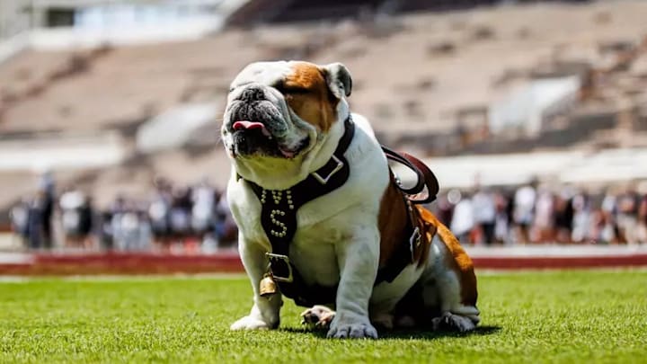 Mississippi State Live Mascot Bully XXII during the 2025 Spring Game at Davis Wade Stadium at Scott Field in Starkville, MS. Mississippi State Live Mascot Bully XXII during the 2025 Spring Game at Davis Wade Stadium at Scott Field in Starkville, MS.
