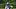 Seattle Seahawks wide receiver Tory Horton runs a route during the first training camp at Virginia Mason Athletic Center. Seattle Seahawks wide receiver Tory Horton runs a route during the first training camp at Virginia Mason Athletic Center.