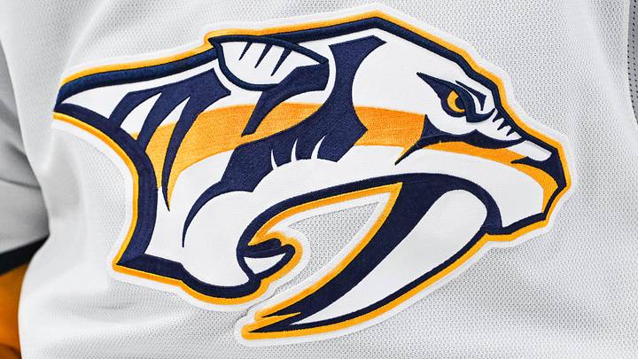 Dec 5, 2024; Montreal, Quebec, CAN; View of a Nashville Predators logo on a jersey worn by a member of the team during the second period at Bell Centre. Mandatory Credit: David Kirouac-Imagn Images