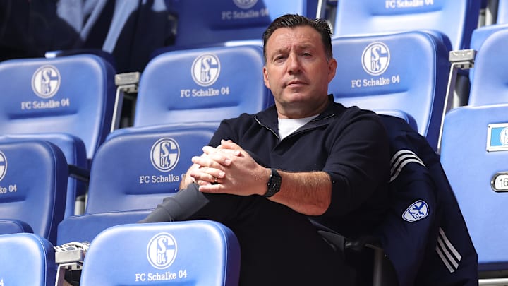 Marc Wilmots in der Veltins Arena