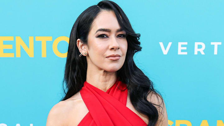 AJ Mendez aka AJ Lee