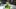 Oregon Ducks Dan Lanning Recruiting Lex Mailangi Offensive Lineman Class of 2027 Recruit Commit College Football Playoff