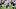 Josh Allen (sack) Maxx Crosby, Kwity Paye Josh Allen (sack) Maxx Crosby, Kwity Paye