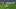 The Premier League’s official footage. The Premier League’s official footage.