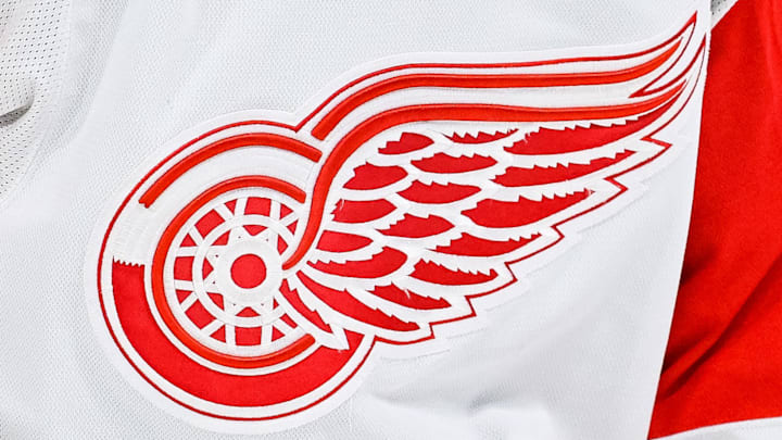 Apr 4, 2023; Montreal, Quebec, CAN; View of a Detroit Red Wings logo on a jersey worn by a member of the team against the Montreal Canadiens during the third period at Bell Centre. Mandatory Credit: David Kirouac-Imagn Images
