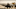 rev-1-DUN2-T3-0014r_High_Res_JPEG rev-1-DUN2-T3-0014r_High_Res_JPEG