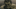 HVH2000_v015_048587.1054 HVH2000_v015_048587.1054