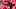 Arkansas Razorbacks cornerback La'Khi Roland celebrates pass breakup during the spring game. Arkansas Razorbacks cornerback La'Khi Roland celebrates pass breakup during the spring game.
