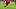Toronto FC’s Josh Sargent