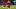 Bundesliga Schalke v Bayern München