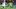 FBL-FRIENDLY-RSA-NCA FBL-FRIENDLY-RSA-NCA