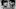UFC Fight Night: Arnold Allen vs. Melquizael Costa