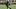 Pittsburgh Steelers running back Jaylen Warren (30)