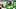 Dylan Raiola Oregon Ducks Drew Mehringer quarterback Dante Moore Nebraska college football transfer portal 2026 season Dylan Raiola Oregon Ducks Drew Mehringer quarterback Dante Moore Nebraska college football transfer portal 2026 season