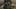 HVH2000_v015_048587.1054 HVH2000_v015_048587.1054