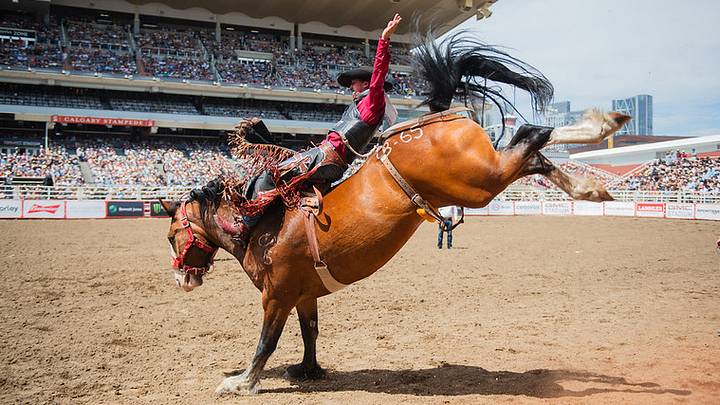 Bareback Riding action Bareback Riding action