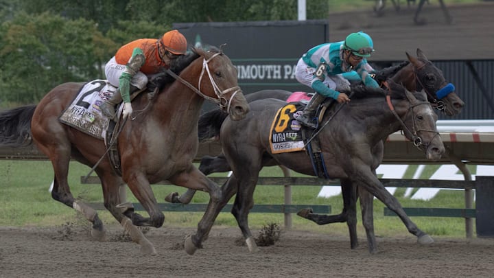 Journalism makes his charge at the finish line to win. Haskell Day at Monmouth Park Race Track in Oceanport NJ on July 19, 2025. Journalism makes his charge at the finish line to win. Haskell Day at Monmouth Park Race Track in Oceanport NJ on July 19, 2025.