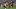 St. Norbert College wide receiver Mitch Van Vooren St. Norbert College wide receiver Mitch Van Vooren