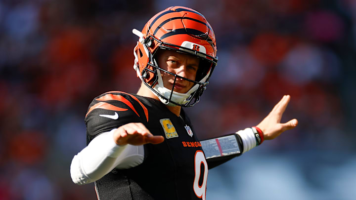 Las Vegas Raiders v Cincinnati Bengals