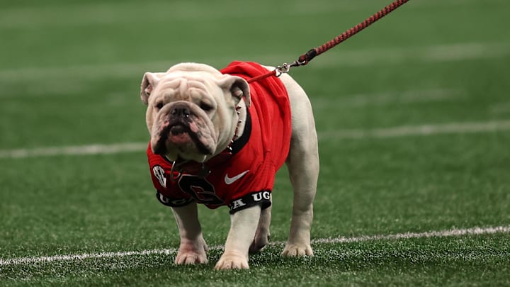 Dec 7, 2024; Atlanta, GA, USA; The Georgia Bulldogs mascot before the 2024 SEC Championship game at Mercedes-Benz Stadium. Mandatory Credit: Brett Davis-Imagn Images