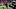TCU running back Jeremy Payne catches the game-winning touchdown pass against USC in the 2025 Alamo Bowl. TCU running back Jeremy Payne catches the game-winning touchdown pass against USC in the 2025 Alamo Bowl.