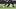 Alphonso Davies