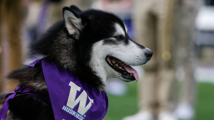 Sep 4, 2021; Seattle, Washington, USA; Dubs II, Washington Huskies mascot, waits for players to exit the tunnel field before a game against the Montana Grizzlies during the first quarter at Alaska Airlines Field at Husky Stadium. Mandatory Credit: Joe Nicholson-USA TODAY Sports Sep 4, 2021; Seattle, Washington, USA; Dubs II, Washington Huskies mascot, waits for players to exit the tunnel field before a game against the Montana Grizzlies during the first quarter at Alaska Airlines Field at Husky Stadium. Mandatory Credit: Joe Nicholson-USA TODAY Sports