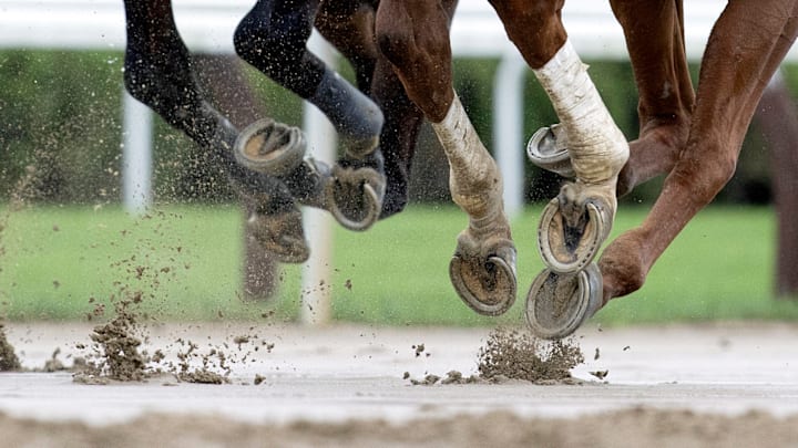 Horse Racing: Ellis Park Derby Horse Racing: Ellis Park Derby