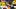 oregon ducks recruiting dan lanning offensive lineman gus corsair mario cristobal miami hurricanes alique terry iapani