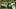 Dante Moore 2027 NFL Mock Draft Dante Moore 2027 NFL Mock Draft