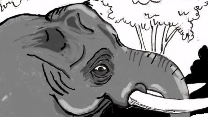 Crimson Tikes: Very Superstitious (Alabama at Georgia)