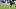 Sebastian Berhalter kicking Sebastian Berhalter kicking