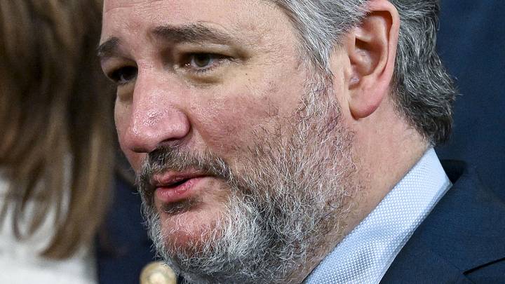 Ted Cruz shared a ridiculous amount of fear-mongering about which schools in Texas will survive without government action Ted Cruz shared a ridiculous amount of fear-mongering about which schools in Texas will survive without government action