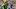 Oregon Ducks quarterback Dante Moore dakorien moore jeremiah mcclellan boise state broncos jayce halasz dan lanning 