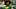 Oregon Ducks quarterback Dante Moore dakorien moore jeremiah mcclellan boise state broncos prayer dan lanning autzen stadium Oregon Ducks quarterback Dante Moore dakorien moore jeremiah mcclellan boise state broncos prayer dan lanning autzen stadium